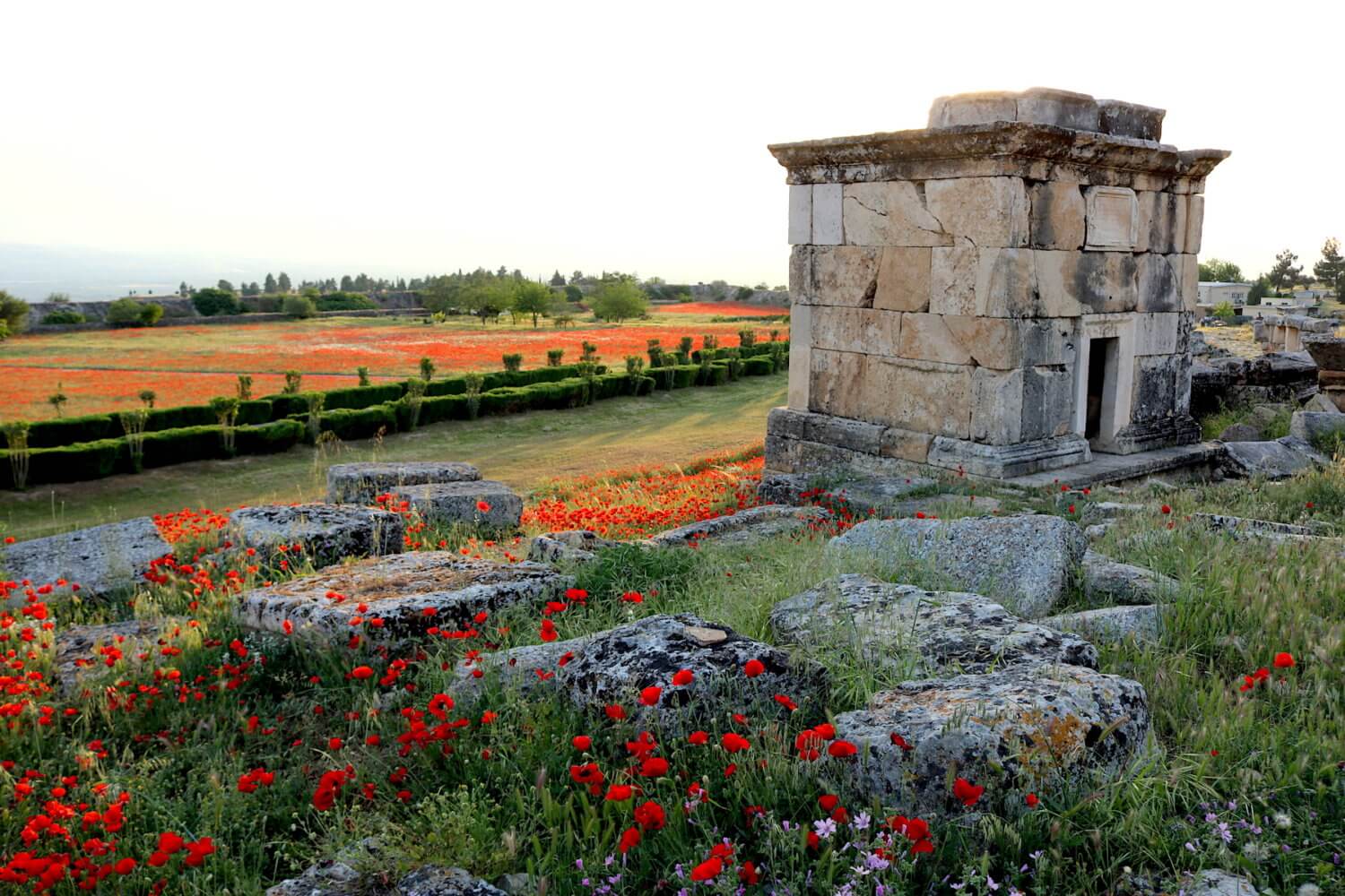 Best of Turkey tour Hierapolis Pamukkale